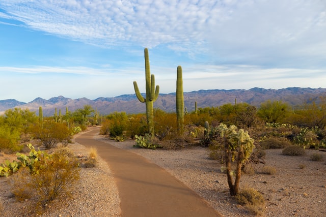 Governor Ducey Invests In Tourism For Continued Economic Recovery